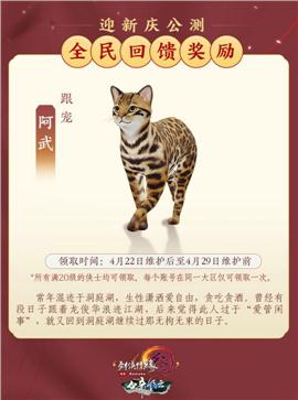 天龙八部私服独立
